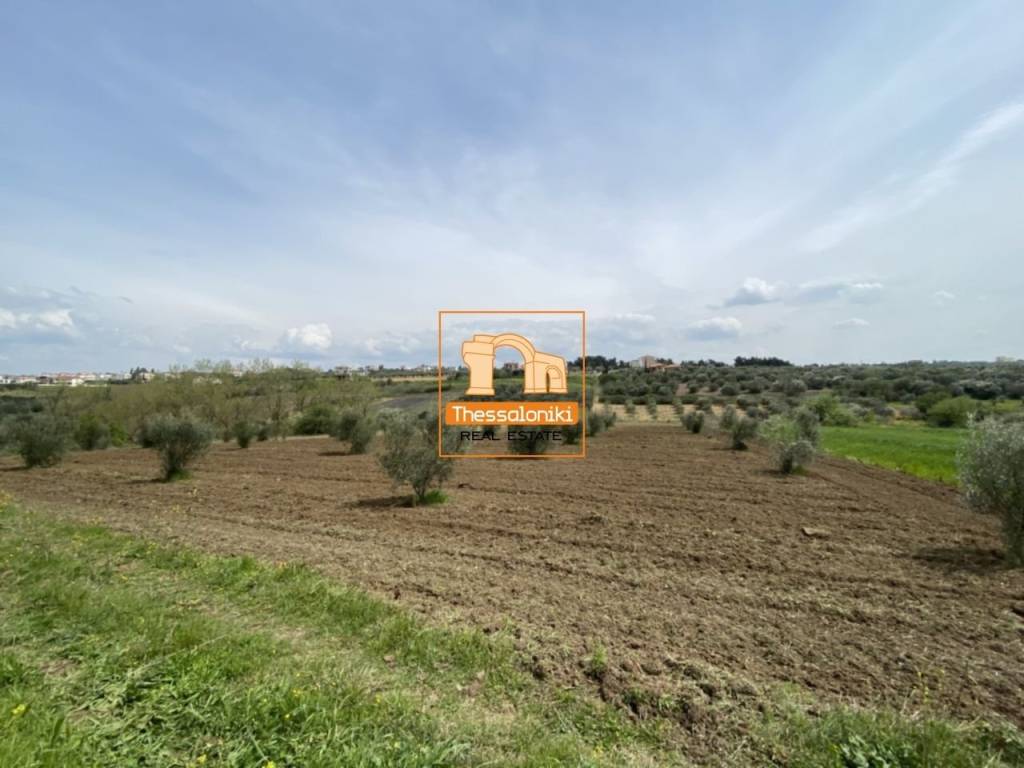 Μεσημέρι, Αγροτεμάχιο, 4.200 τ.μ.