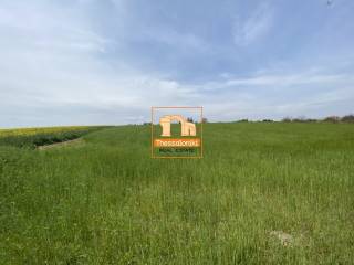 Μεσημέρι, Αγροτεμάχιο, 4.020 τ.μ.