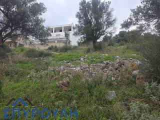 Εξωτερικοι χώροι