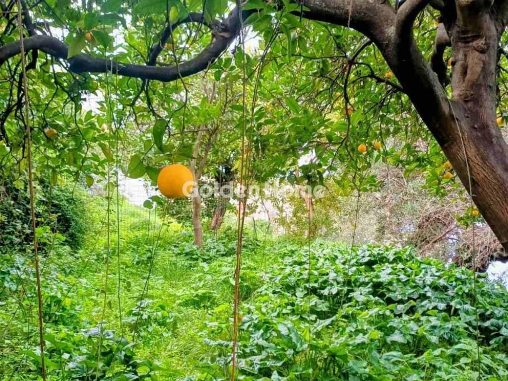 Κυρίως Χώρος