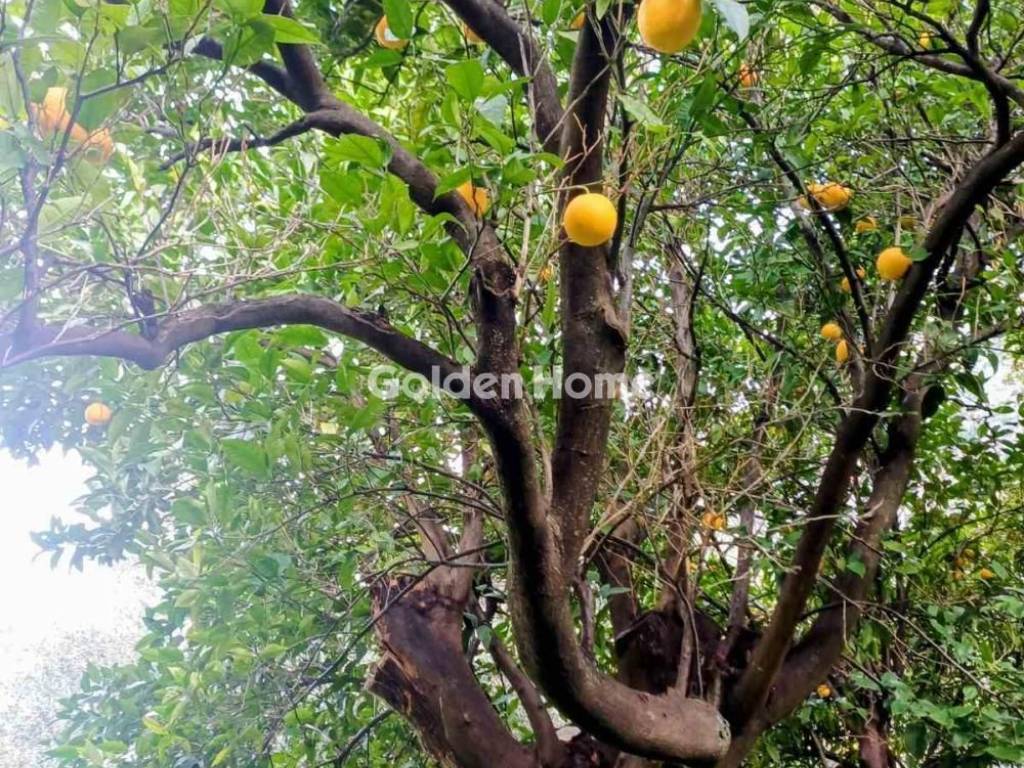 Κυρίως Χώρος