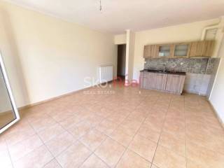 Σαλοκουζίνα