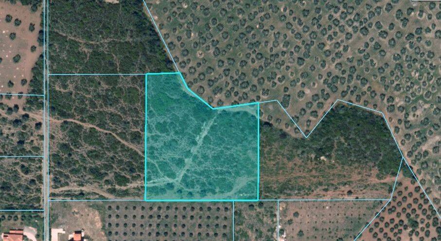 Plot - Grekodom 61412|925451