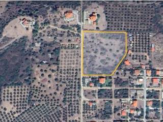 Plot - Grekodom 60598|900374