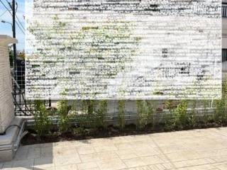 Forumland Real Estate, Αυλή