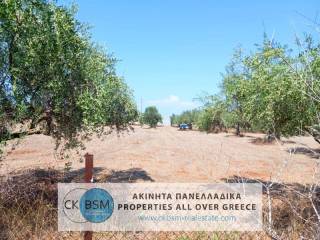 Άποψη οικοπέδου / Plot view