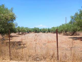 Άποψη οικοπέδου / Plot view