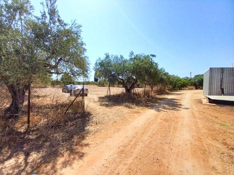 Άποψη οικοπέδου / Plot view