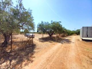 Άποψη οικοπέδου / Plot view