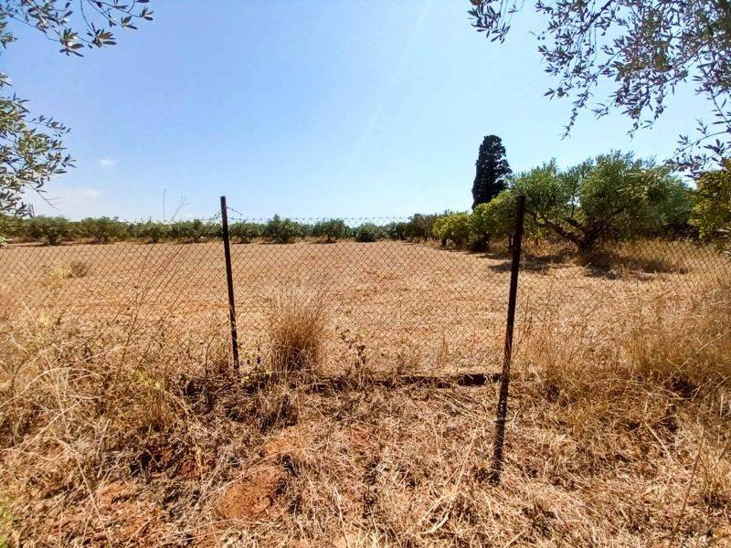 Άποψη οικοπέδου / Plot view