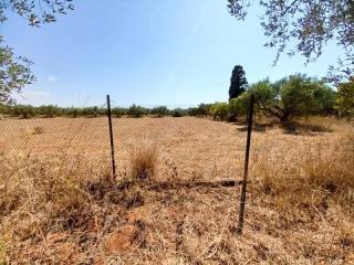 Άποψη οικοπέδου / Plot view