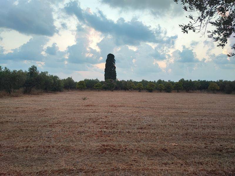 'Αποψη οικοπέδου / Plot view