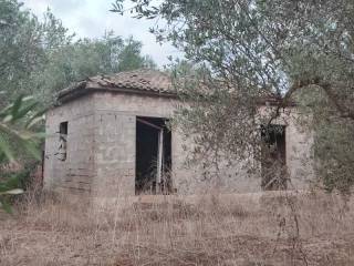 'Αποψη οικοπέδου / Plot view