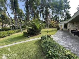 Forumland Real Estate, Κήπος