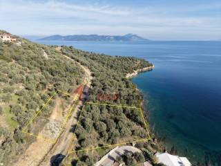 Εξωτερικοι χώροι