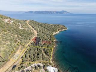 Εξωτερικοι χώροι