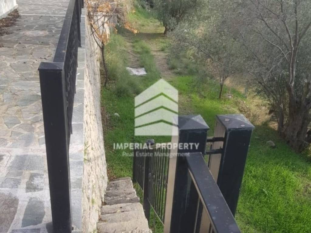 Ύπαρξη ανθρώπου