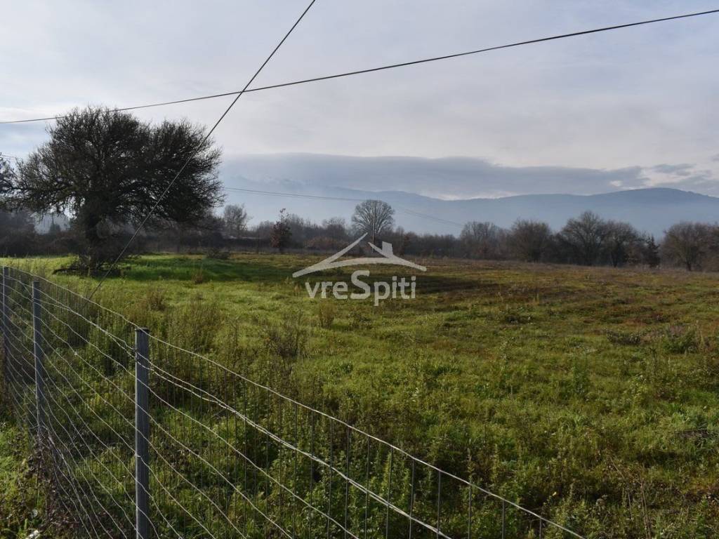 ΑΠΟΨΗ ΑΓΡΟΤΕΜΑΧΙΟΥ