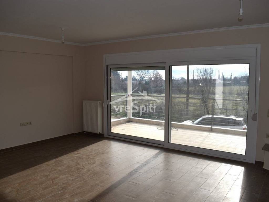 ΚΑΘΙΣΤΙΚΟ ΜΕ ΤΖΑΚΙ