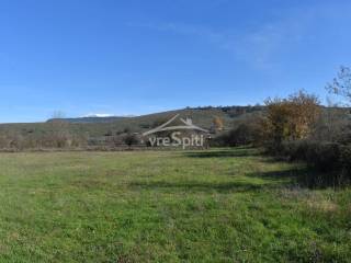 ΑΠΟΨΗ ΑΓΡΟΤΕΜΑΧΙΟΥ