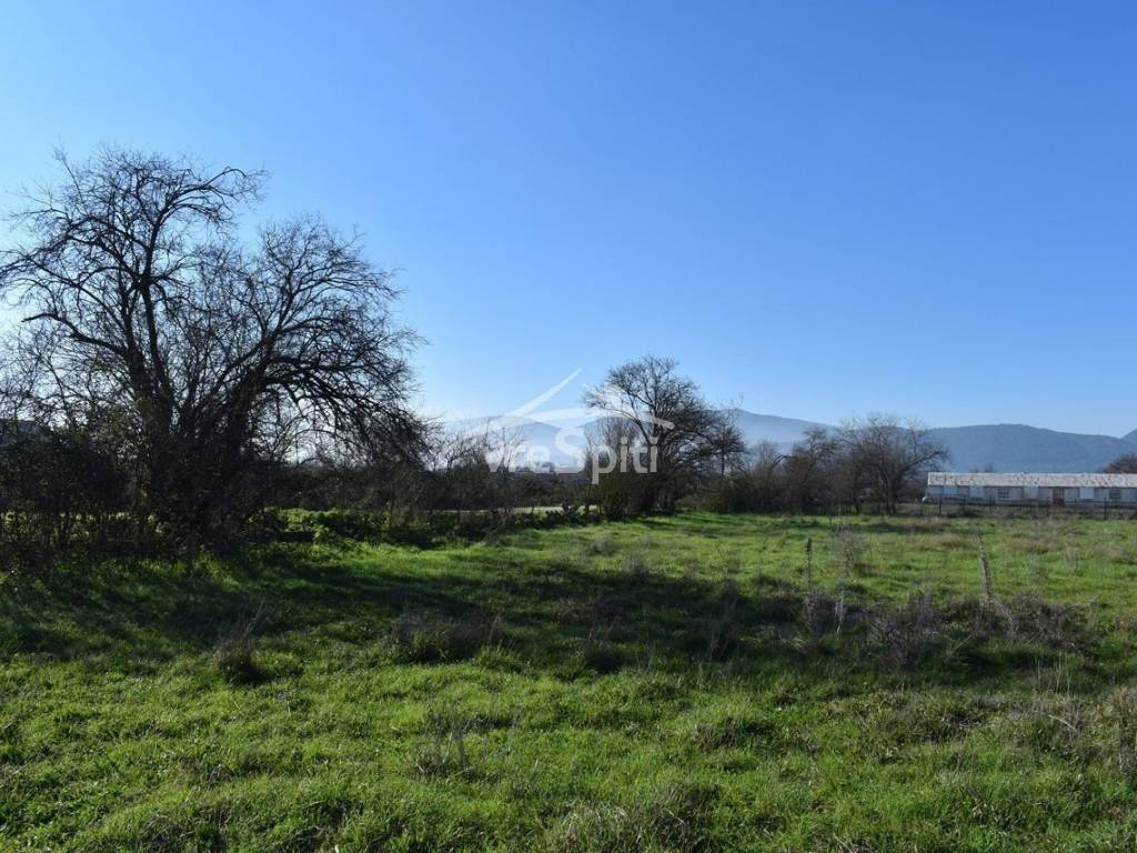 ΑΠΟΨΗ ΑΓΡΟΤΕΜΑΧΙΟΥ