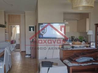 Σαλοκουζίνα