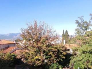 Ανεμποδιστη θεα Παρνηθα