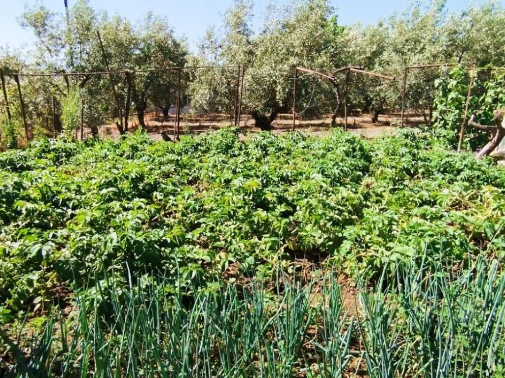 Ο περιβάλων χώρος