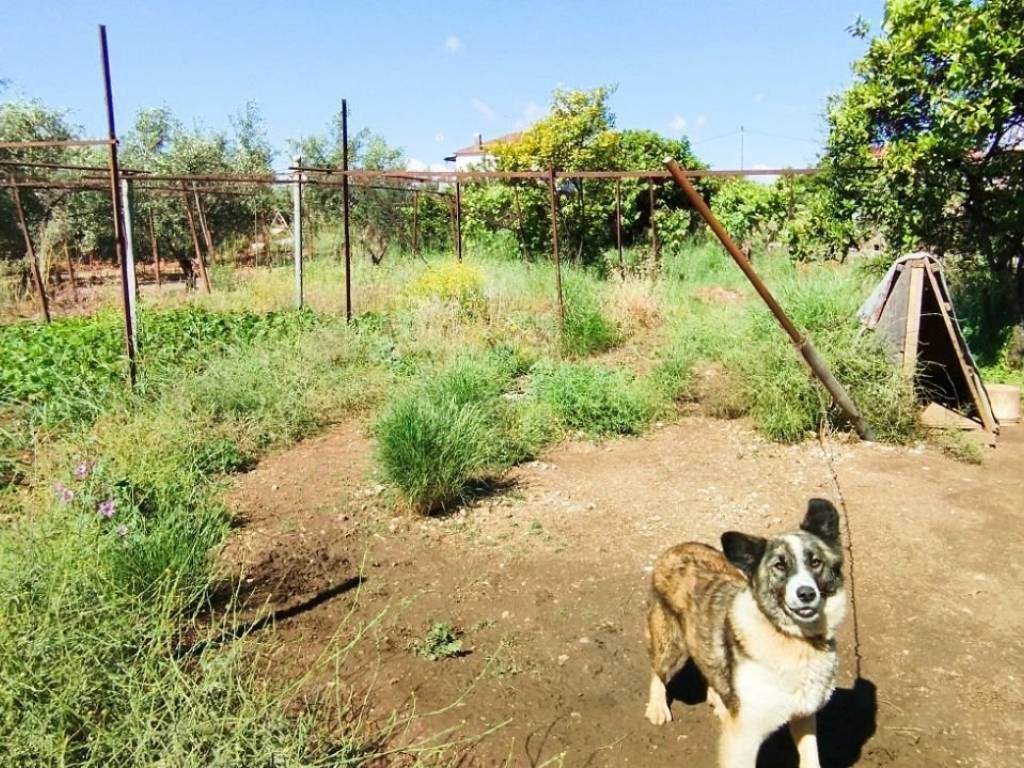 Ο περιβάλων χώρος