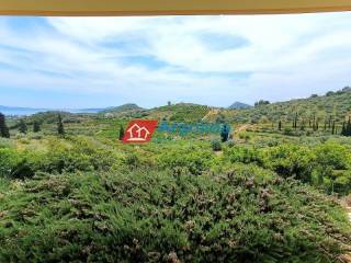 Ύπαρξη ανθρώπου