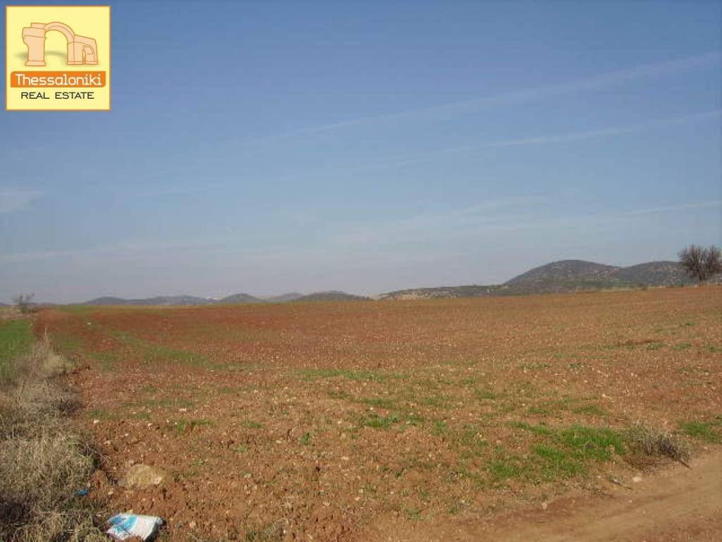 Άσσηρος, Αγροτεμάχιο, 23.250 τ.μ.