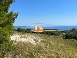 Νέα Ρόδα, Αγροτεμάχιο, 4.090 τ.μ.