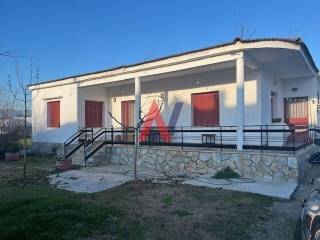 ΚΑΡΑΤΑΣΙΟΣ 2.jpeg