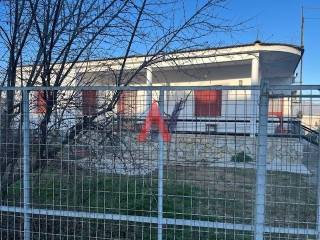 ΚΑΡΑΤΑΣΙΟΣ 3.jpeg