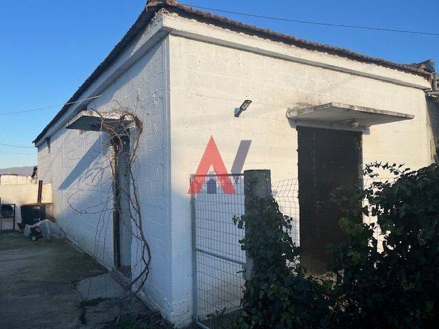 ΚΑΡΑΤΑΣΙΟΣ 1.jpeg