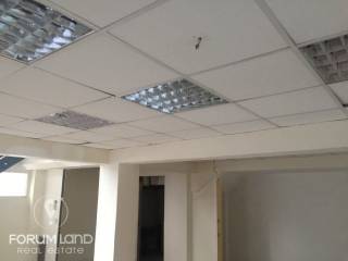 Forumland Real Estate, Ypogeio