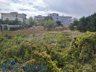 Εξωτερικοι χώροι