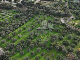 Εξωτερικοι χώροι