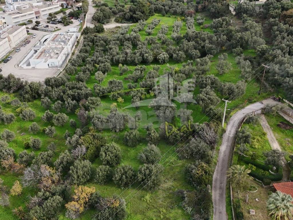 Εξωτερικοι χώροι