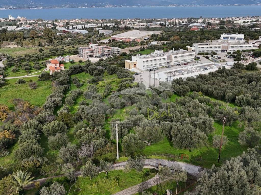 Εξωτερικοι χώροι