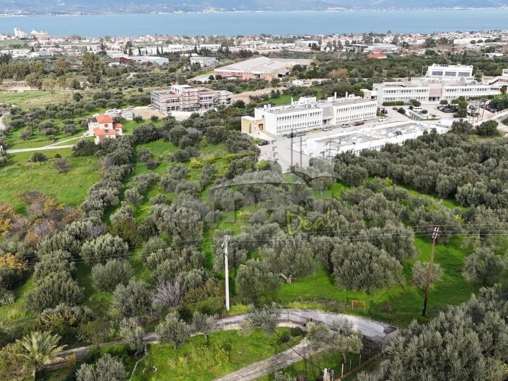 Εξωτερικοι χώροι