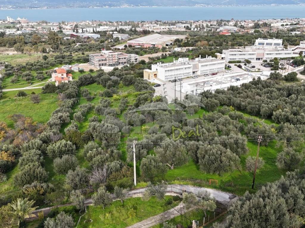 Εξωτερικοι χώροι