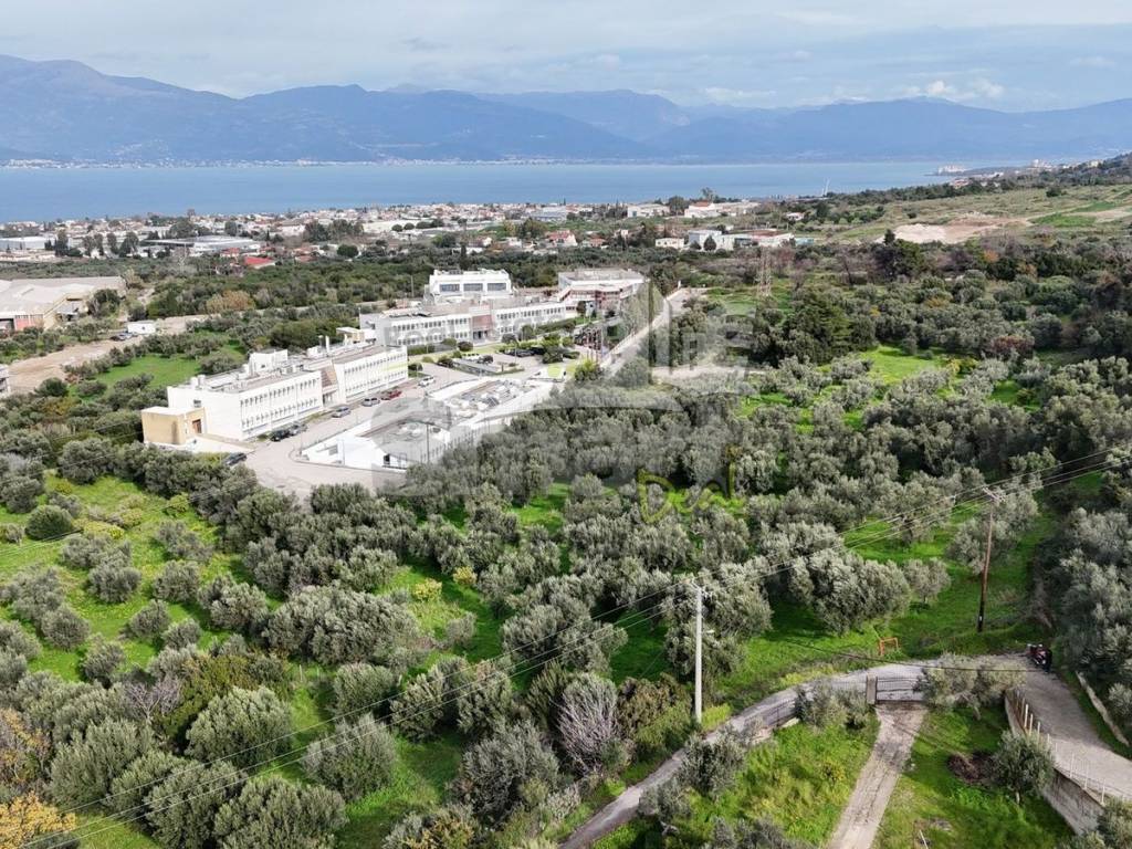 Εξωτερικοι χώροι