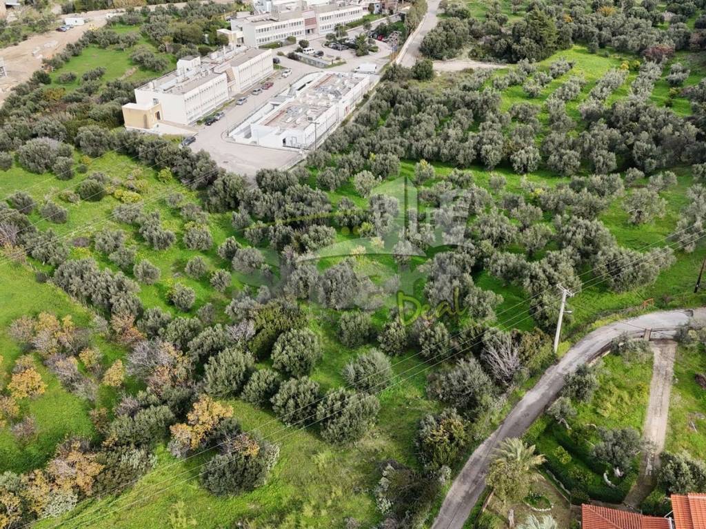 Εξωτερικοι χώροι