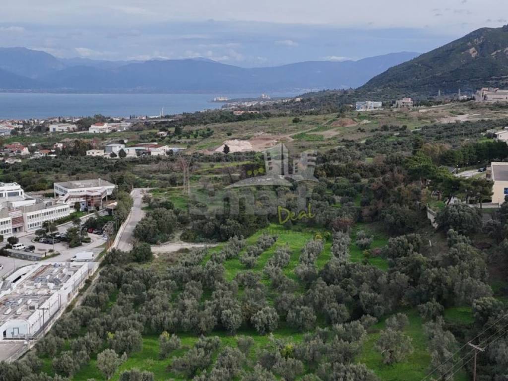 Εξωτερικοι χώροι