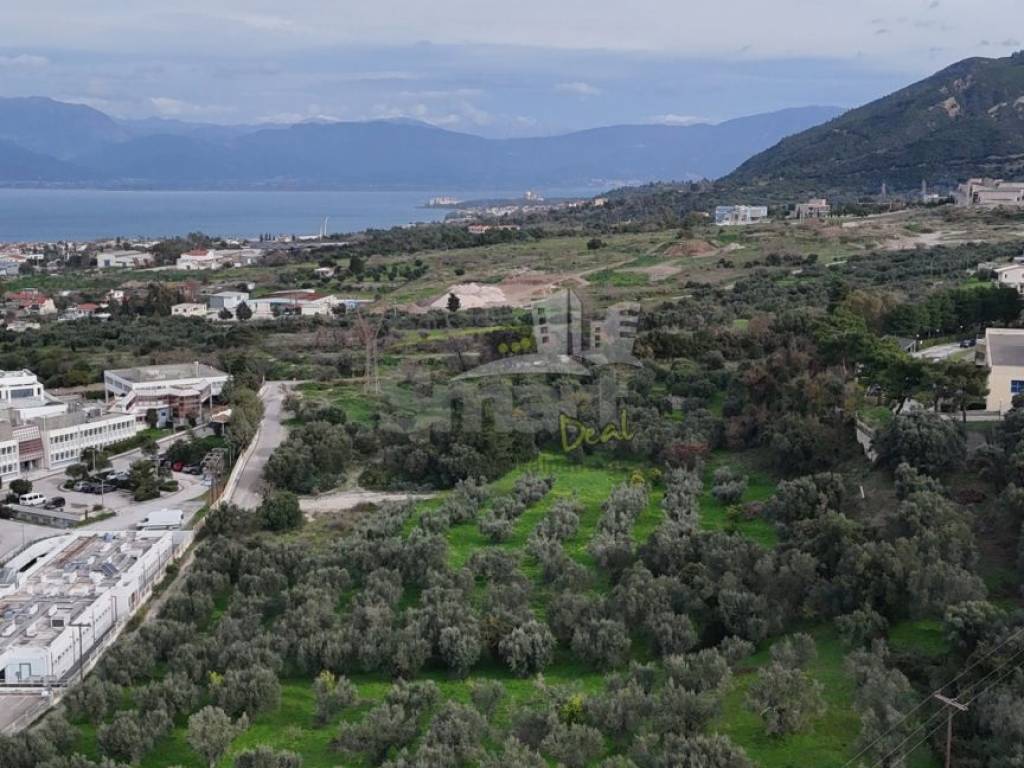 Εξωτερικοι χώροι