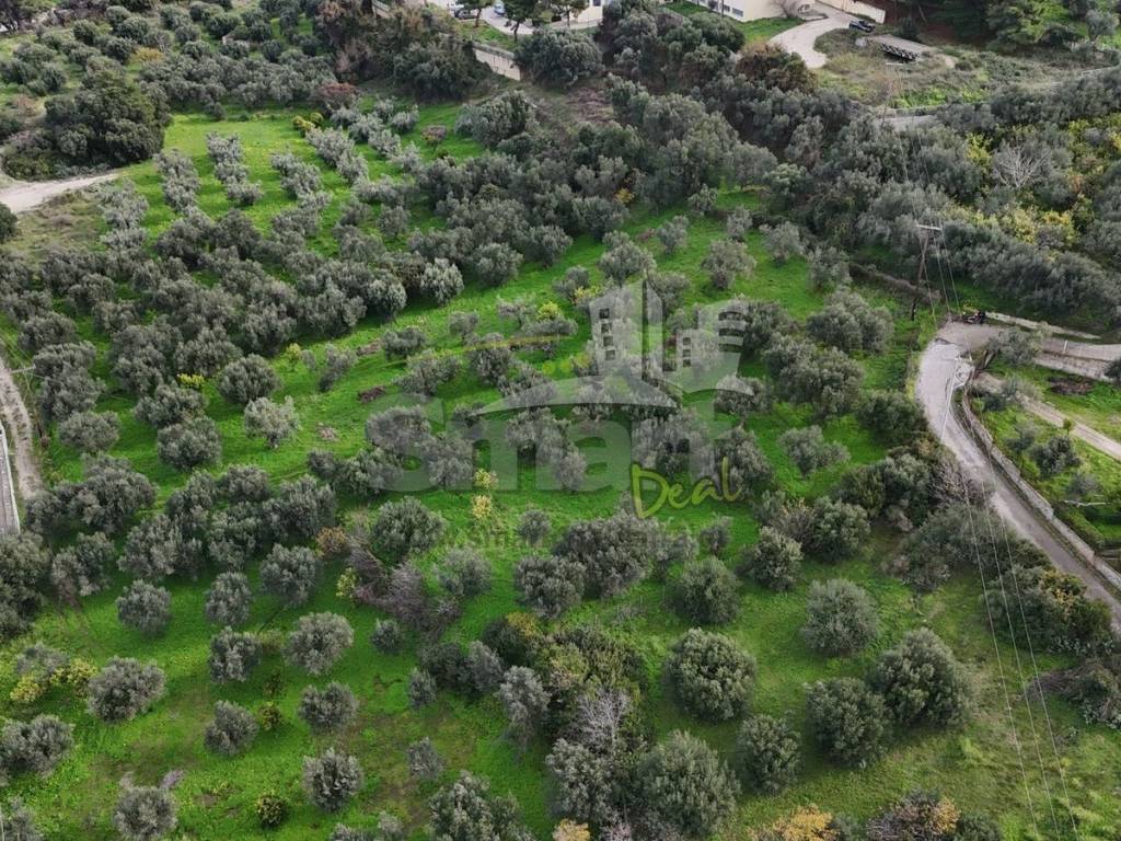 Εξωτερικοι χώροι