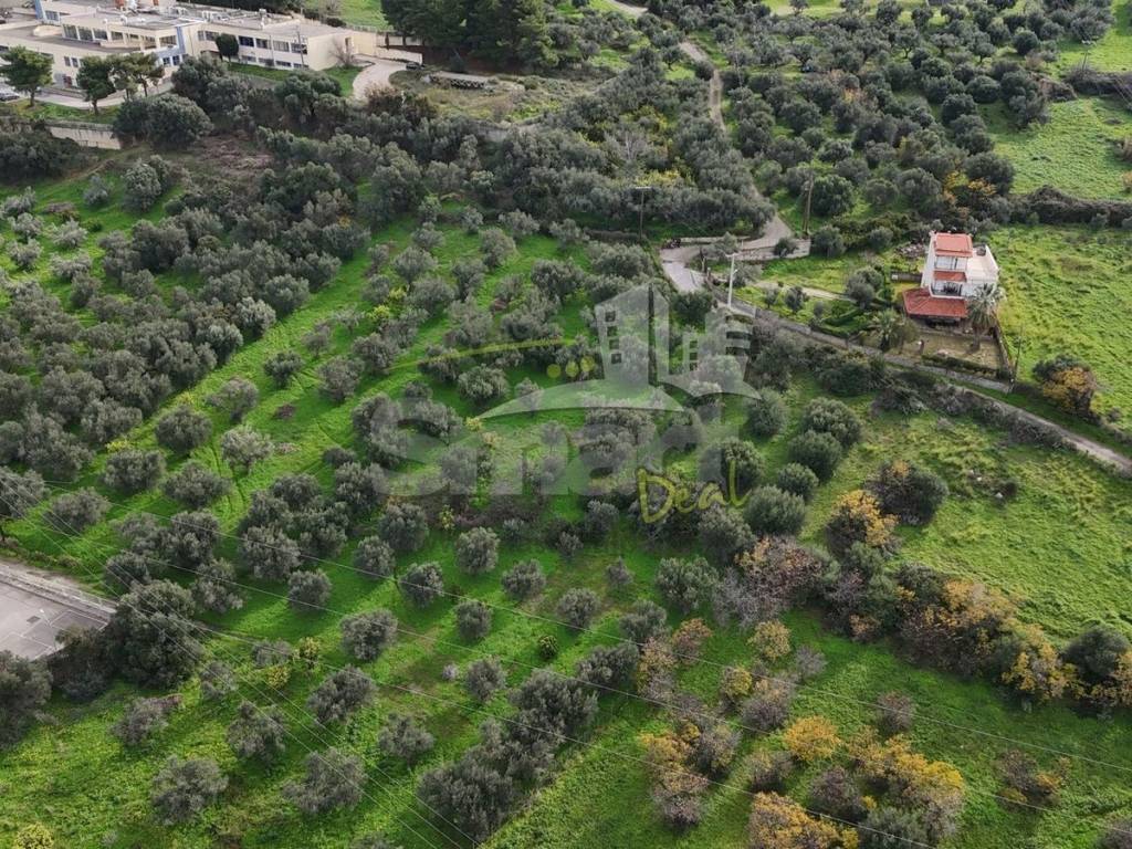 Εξωτερικοι χώροι