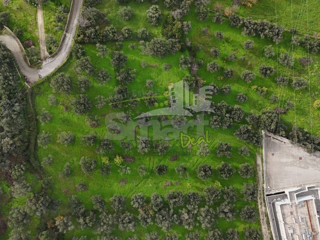 Εξωτερικοι χώροι