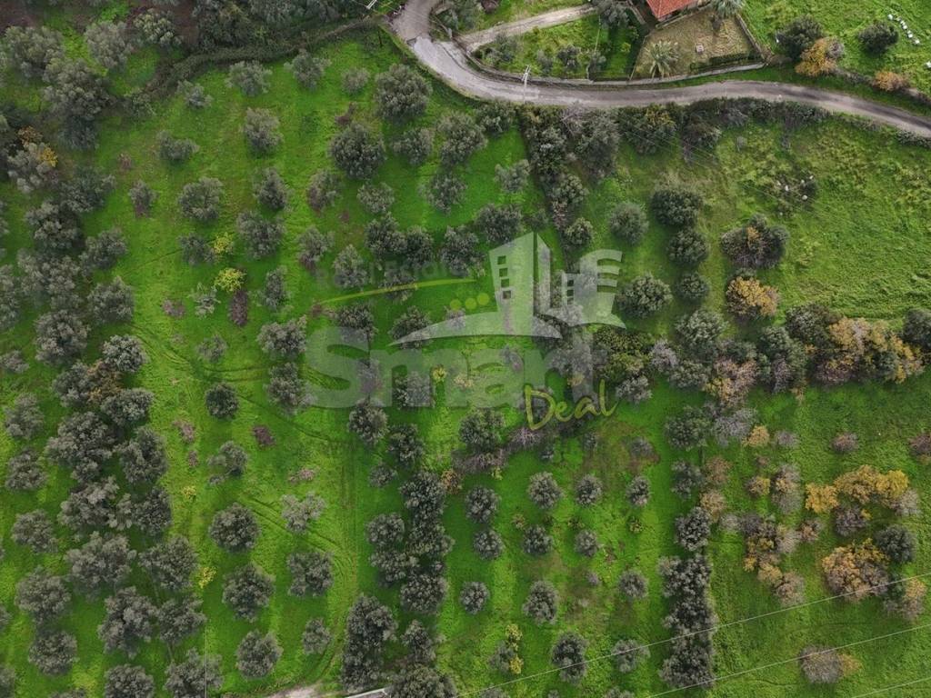 Εξωτερικοι χώροι